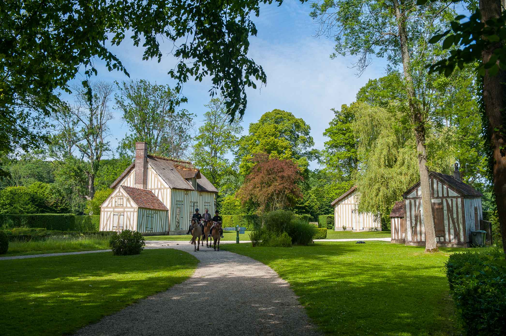 Balade avec les chevaux Henson au hameau du château de Chantilly