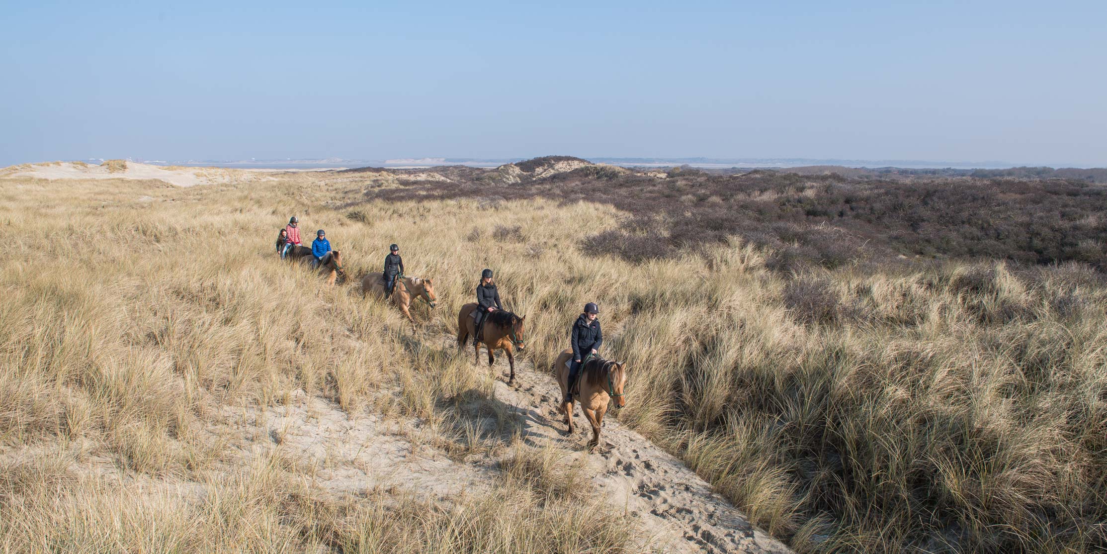 Balade avec les chevaux Henson - © Agence Arcantide