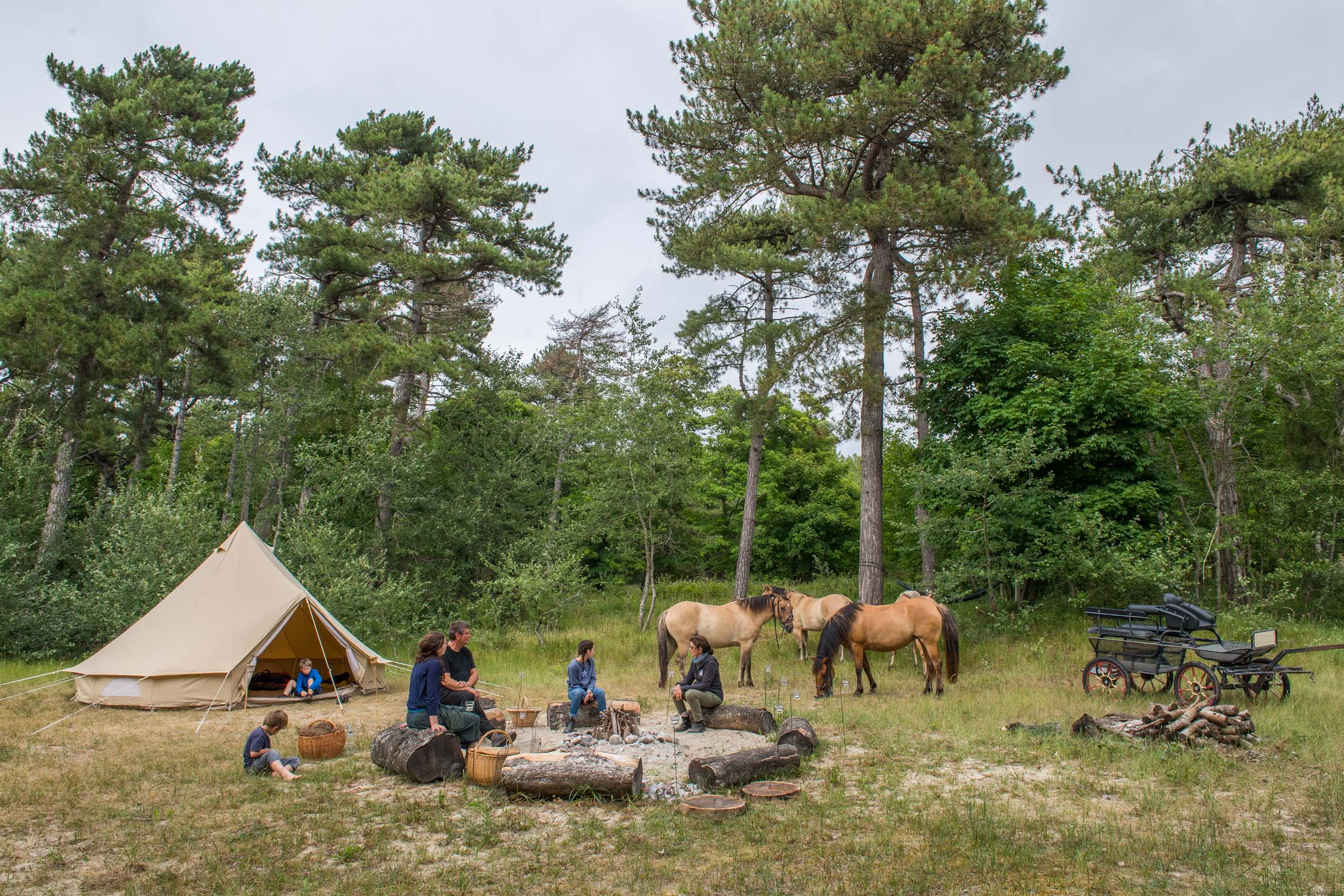Bivouac avec les chevaux Henson - © Agence Arcantide